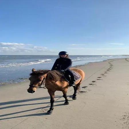 In Near Sint-andre Vakantiehuis